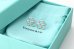 画像5: TIFFANY&Co[ティファニー] ハート クローバー ピアス 並行輸入品 (5)