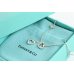 画像4: TIFFANY&Co[ティファニー]　ハートリンク ラリアト ネックレス　並行輸入品