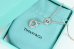 画像4: TIFFANY&Co[ティファニー]　セビアナ ラリアト  ネックレス　並行輸入品 (4)