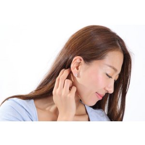 画像7: TIFFANY&Co[ティファニー] ニューバタフライ ピアス　並行輸入品