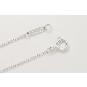 画像10: TIFFANY&Co[ティファニー]　1837 サークル ペンダント（ラージ）　並行輸入品